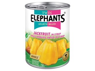 Twin Elephants Jackfruit In Syrup 565g